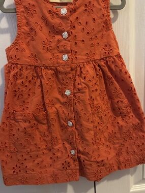 Sweet Magnolia Embroidered Orange Eyelet toddler Dress with Floral Buttons